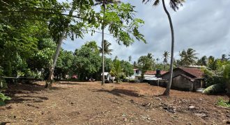 Sea View Paradise! – Dream Land for Sale in Ahangama